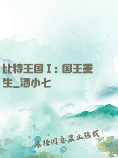 比特王国Ⅰ: 国王重生
